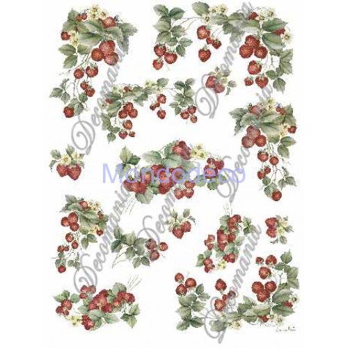 Carta Per Decoupage 30x30 Cm, 24 Fogli Con 12 Motivi Animali Del Bosco (Cervo, Volpe, Scoiattolo), Stampa Fronte/Retro, 160g/m²