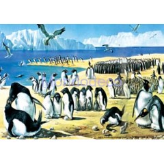 Carta di riso disegnata per decoupage con pinguini e ghiacciai 